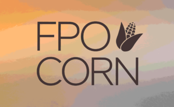 FPO Corn